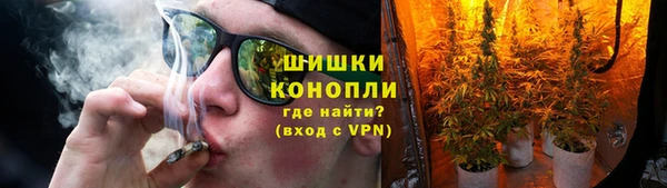 ПСИЛОЦИБИНОВЫЕ ГРИБЫ Балахна