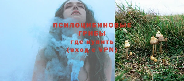 ПСИЛОЦИБИНОВЫЕ ГРИБЫ Балахна