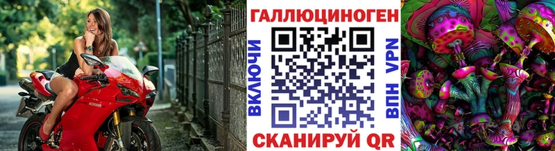 Псилоцибиновые грибы Cubensis Верхний Тагил